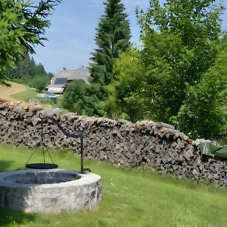 Gasthaus-Pension Zum Loewen Grafenhausen Eksteriør billede