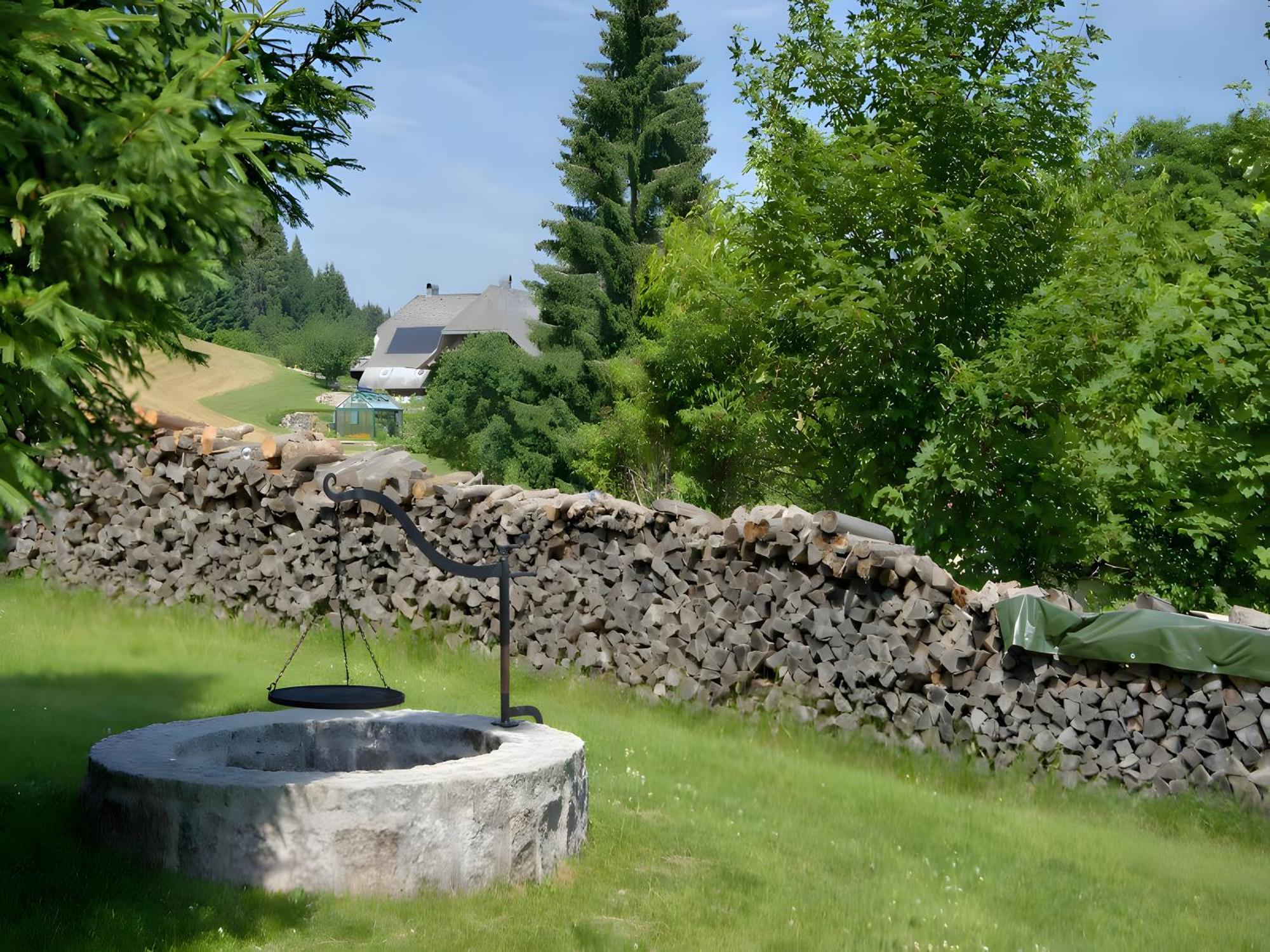 Gasthaus-Pension Zum Loewen Grafenhausen Eksteriør billede