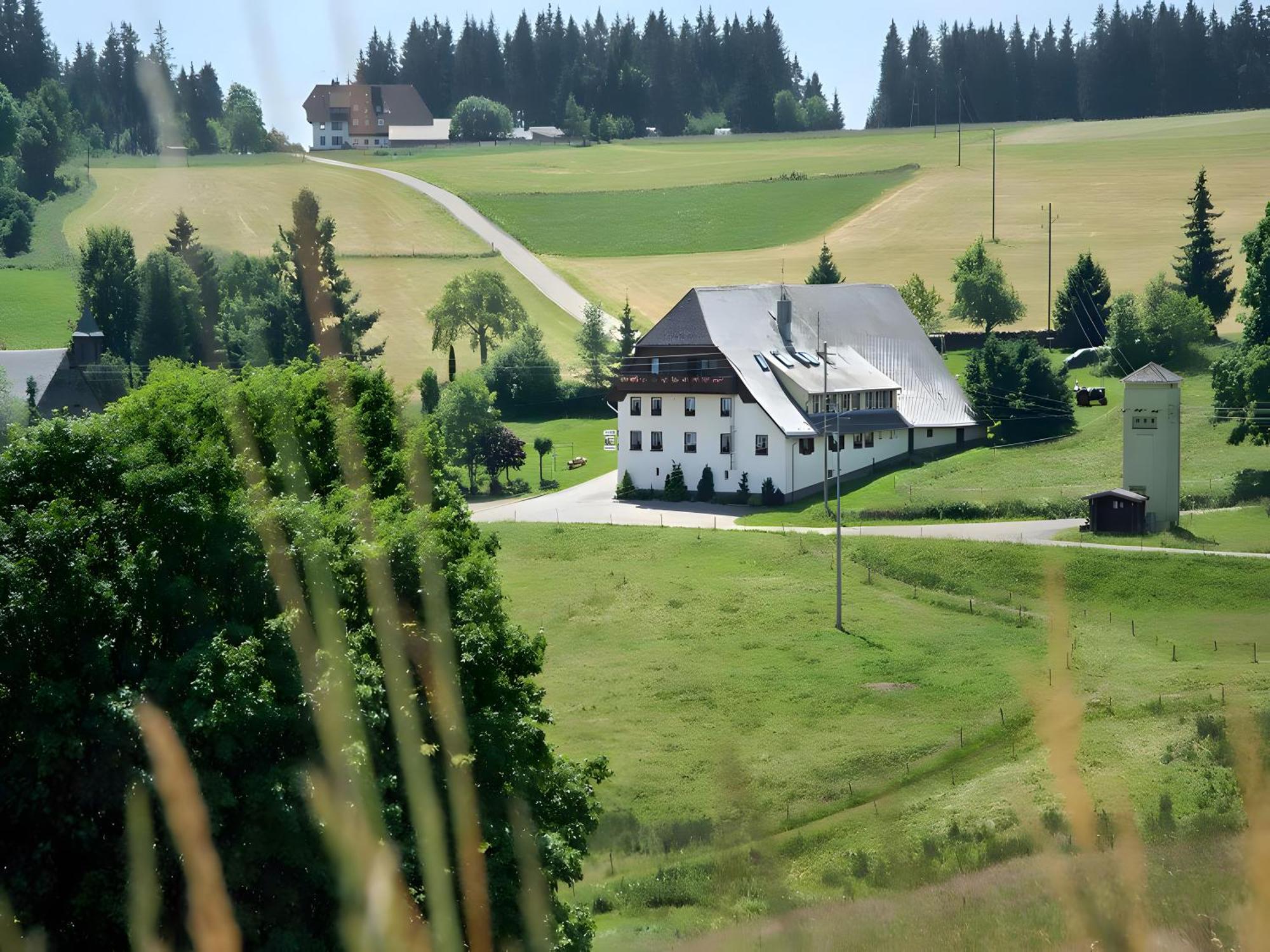 Gasthaus-Pension Zum Loewen Grafenhausen Eksteriør billede