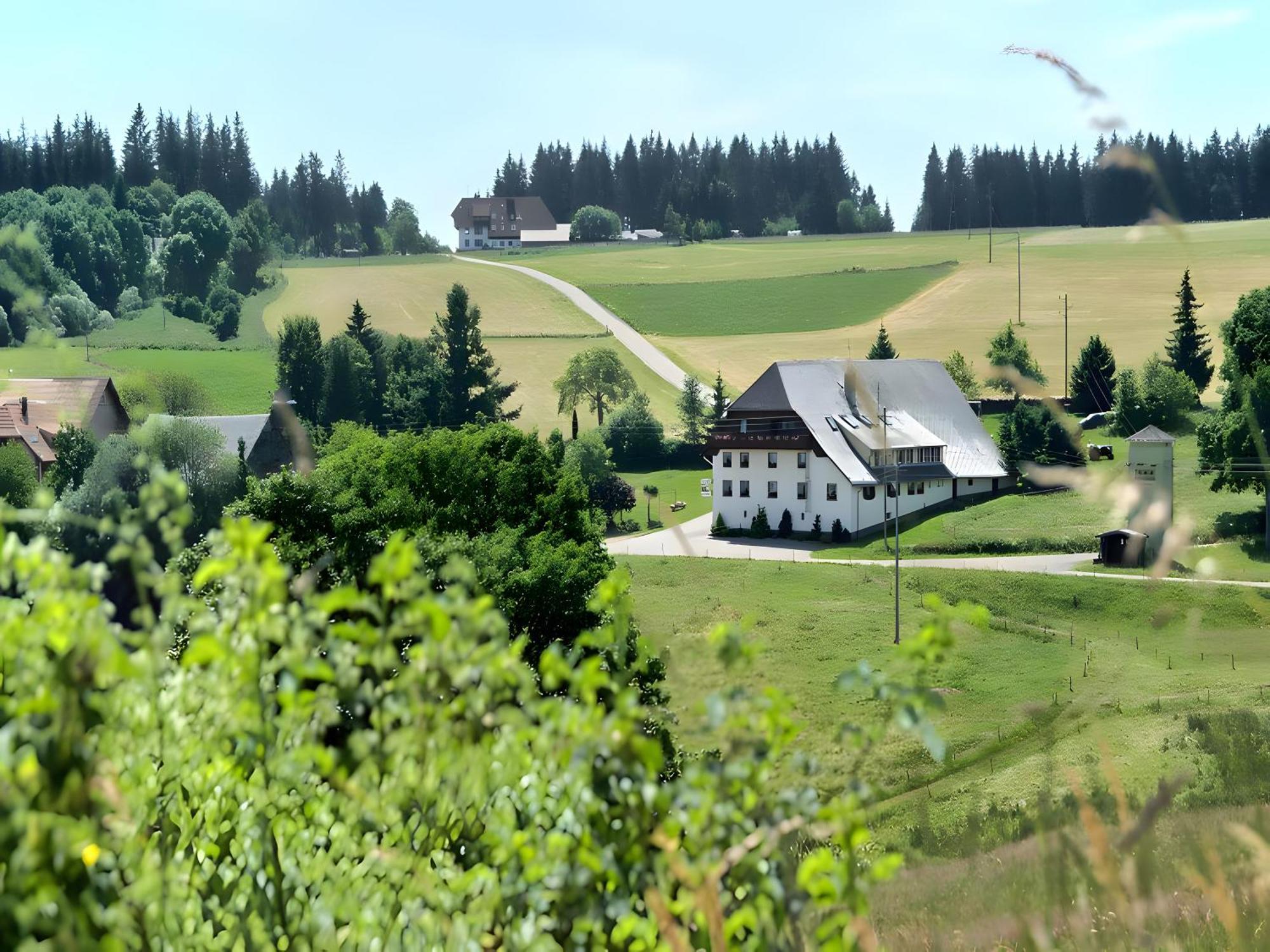 Gasthaus-Pension Zum Loewen Grafenhausen Eksteriør billede