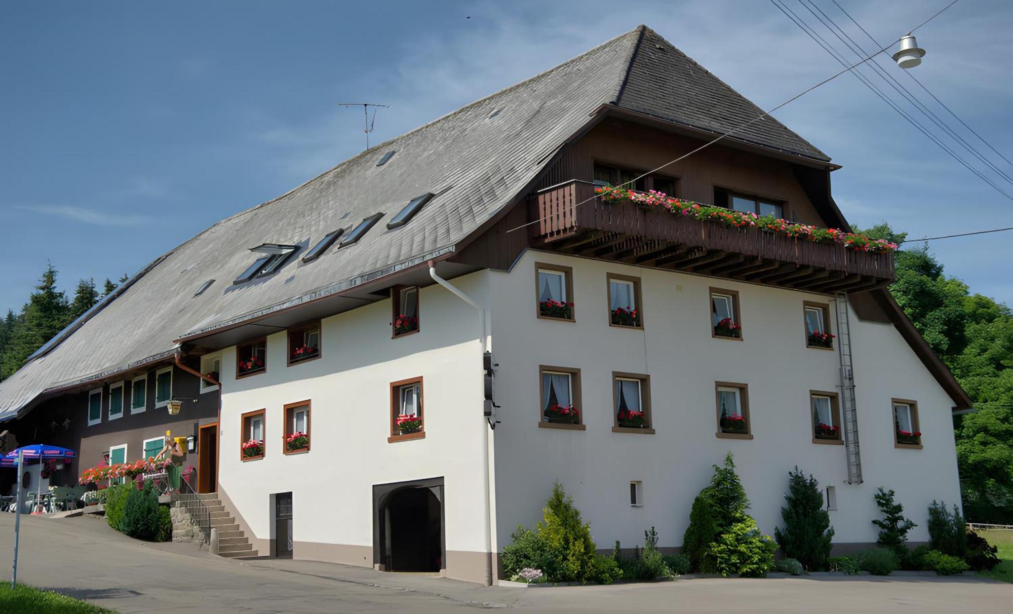Gasthaus-Pension Zum Loewen Grafenhausen Eksteriør billede