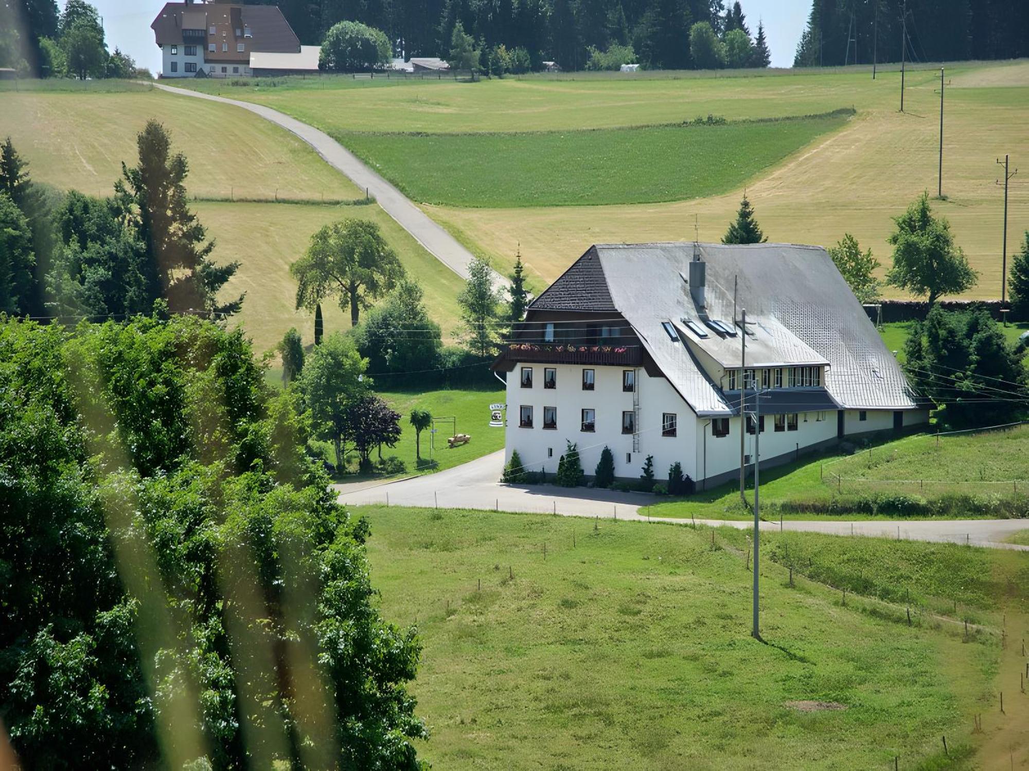 Gasthaus-Pension Zum Loewen Grafenhausen Eksteriør billede